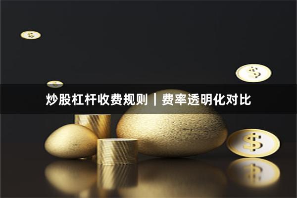 炒股杠杆收费规则｜费率透明化对比